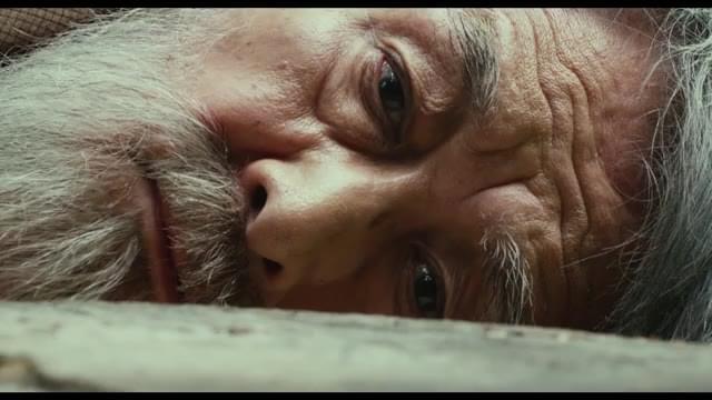 特別映像：庭と生き物編