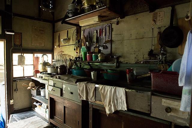 池谷のぶえの「モリのいる場所」の画像