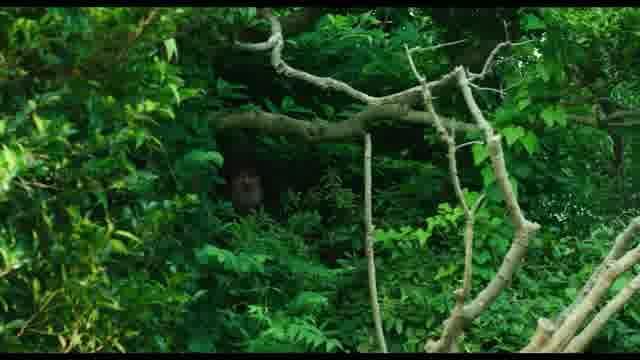 特別映像：大御所を探せ編