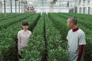 野球部員、演劇の舞台に立つ！の予告編・動画