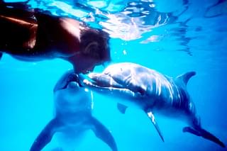 ドルフィン・マン ジャック・マイヨール、蒼く深い海へ