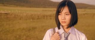 トリノコシティ