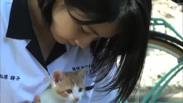 メイキング映像：松本穂香と猫