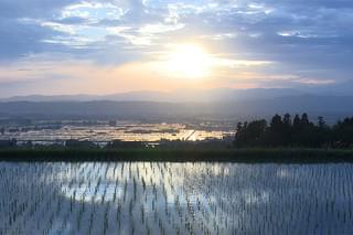 おだやかな革命