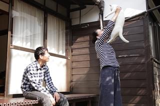 愛しのノラ 幸せのめぐり逢い