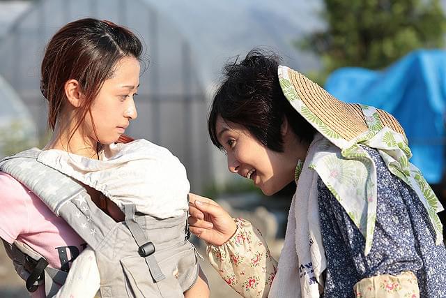 藤田朋子の「愛の病」の画像