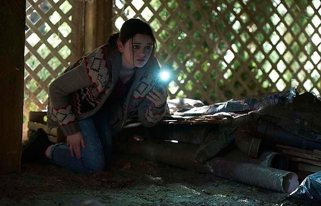 ジョーイ・キングの「7 WISH セブン・ウィッシュ」の画像