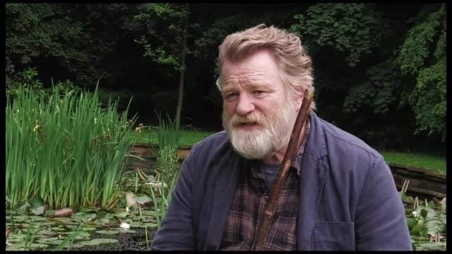 ブレンダン・グリーソン インタビュー映像