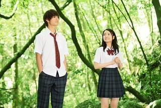 青夏 きみに恋した30日