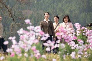 あの日のオルガン