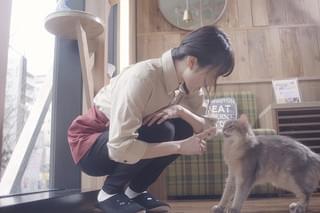 猫カフェ