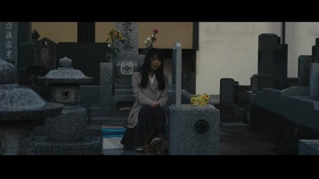 特別予告（ゆかり編）