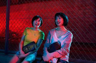 チワワちゃんの予告編・動画