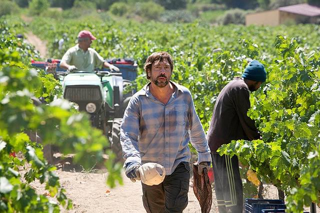 ハビエル・バルデムの「誰もがそれを知っている」の画像