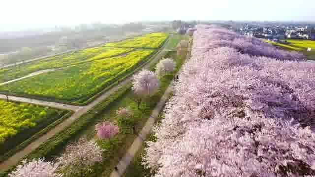 ドローン空撮予告映像