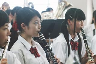 カランコエの花