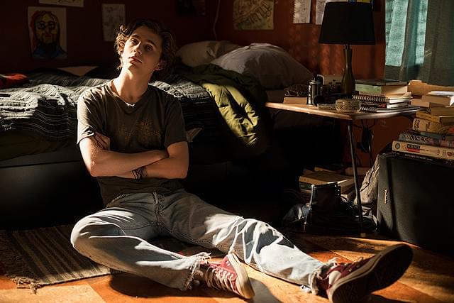 ティモシー・シャラメの「ビューティフル・ボーイ」の画像