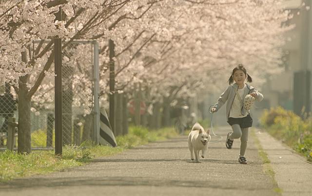 新津ちせの「駅までの道をおしえて」の画像
