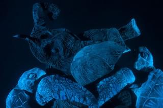 よるのたんけん