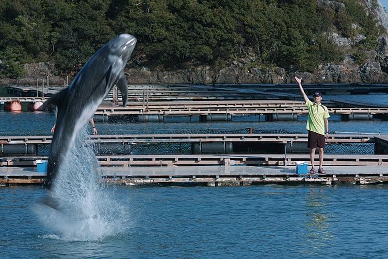 ボクはボク、クジラはクジラで、泳いでいる。 : 作品情報・キャスト