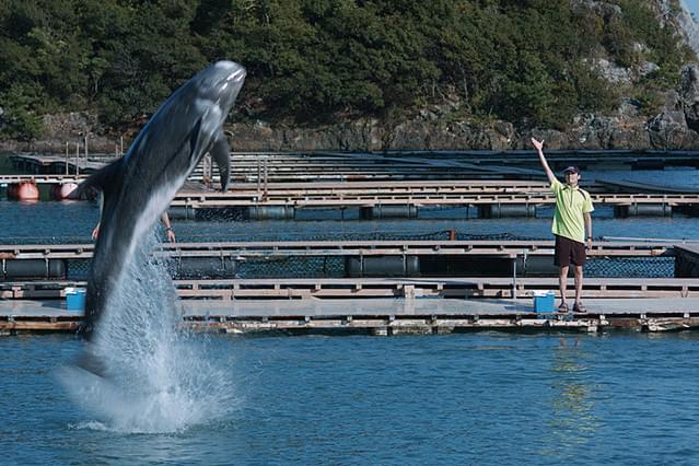 ボクはボク、クジラはクジラで、泳いでいる。