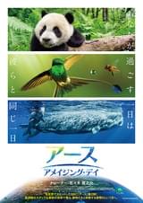 アース アメイジング・デイ