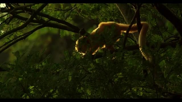 フューチャレット映像