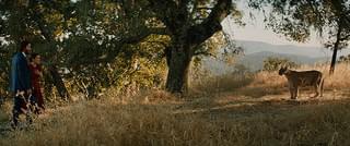 おとなの恋は、まわり道