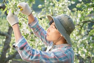 リトル・フォレスト 春夏秋冬