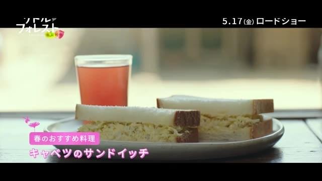 特別映像：レシピ集