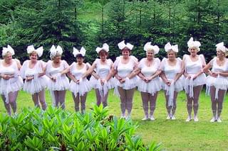 チェコ・スワン