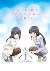 青春ブタ野郎はゆめみる少女の夢を見ない