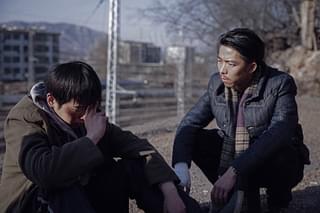 象は静かに座っている