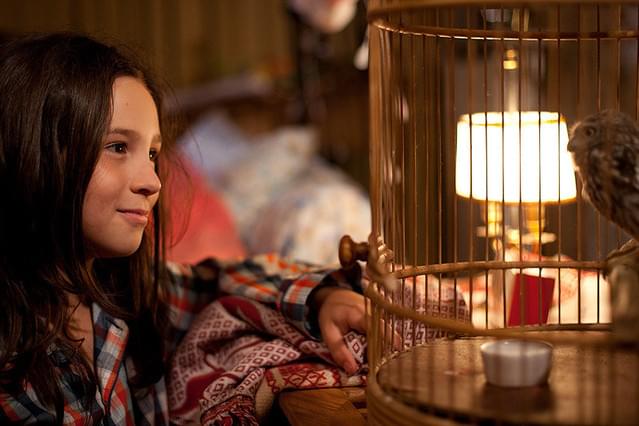 マチルド、翼を広げ