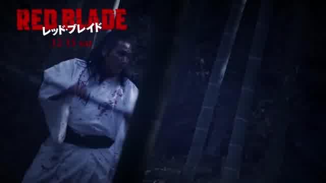 本編オープニング映像