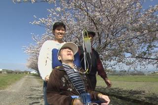 イーちゃんの白い杖