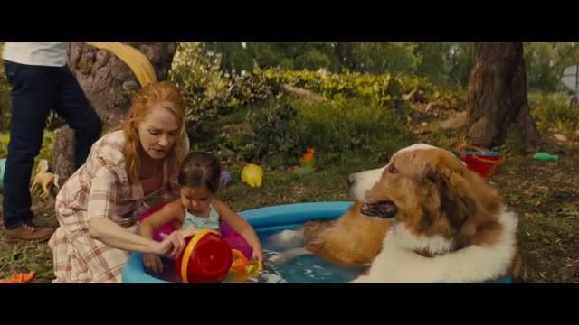 本編映像：ベイリーとグロリアの水遊び