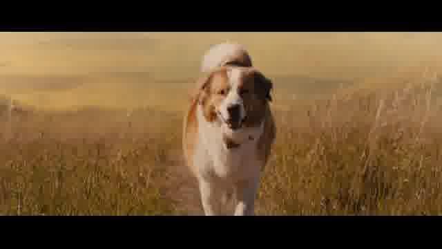 日本語吹き替え版予告