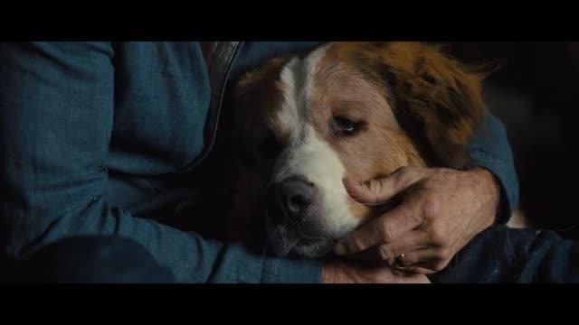 本編映像：生まれ変わりを決意するベイリー