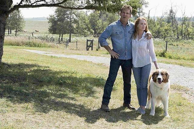 デニス・クエイドの「僕のワンダフル・ジャーニー」の画像