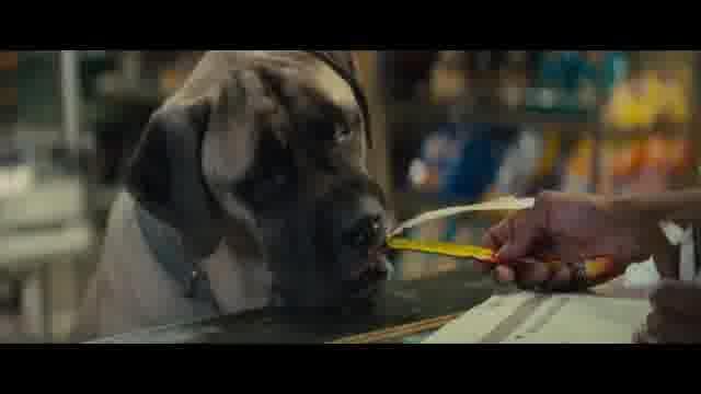 本編映像：ビッグドッグ