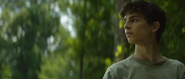 ティモシー・シャラメの「シークレット・チルドレン 禁じられた力」の画像