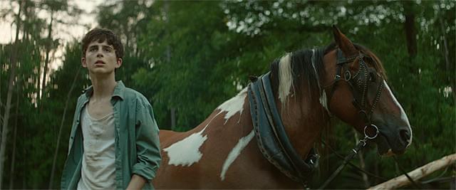 ティモシー・シャラメの「シークレット・チルドレン 禁じられた力」の画像