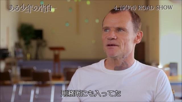 インタビュー映像：フリー