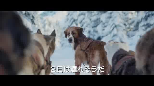 本編映像