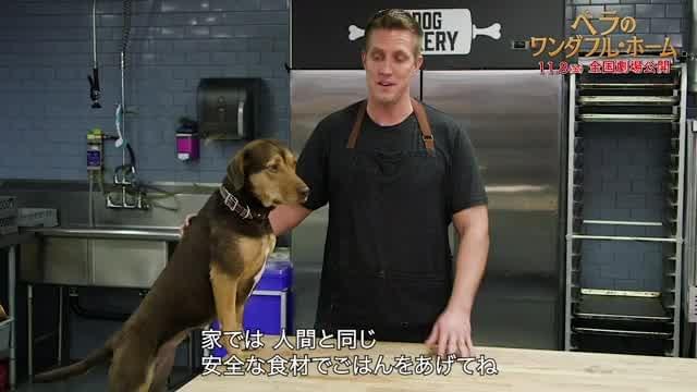 特別映像