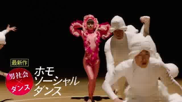 「『偏愛ビジュアリスト』東海林毅ショートフィルム選」予告編