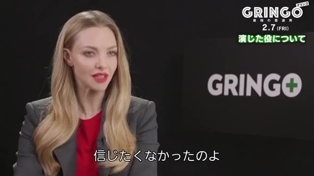 インタビュー映像：アマンダ・セイフライド