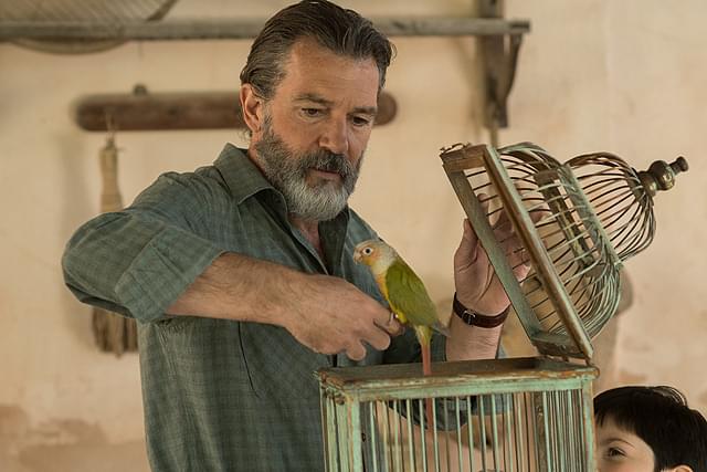 アントニオ・バンデラスの「ライフ・イットセルフ 未来に続く物語」の画像