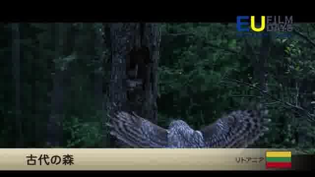 EUフィルムデーズ2019予告編